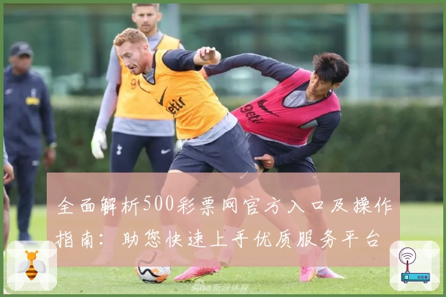全面解析500彩票网官方入口及操作指南：助您快速上手优质服务平台
